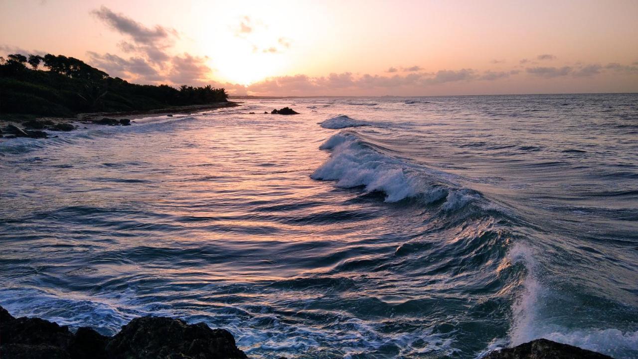 Studio Avec Grande Piscine, Plage Vanille Caraibes Saint-Francois  Luaran gambar